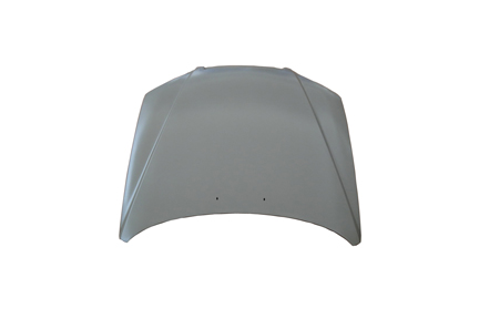 Hyundai Elantra 2004 Engine Hood